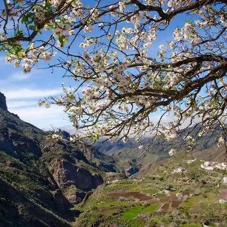 - Bentayga * Tejeda (Gran Canaria)